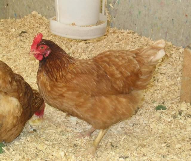More knowledge about farming, yielding and entrepreneurship?