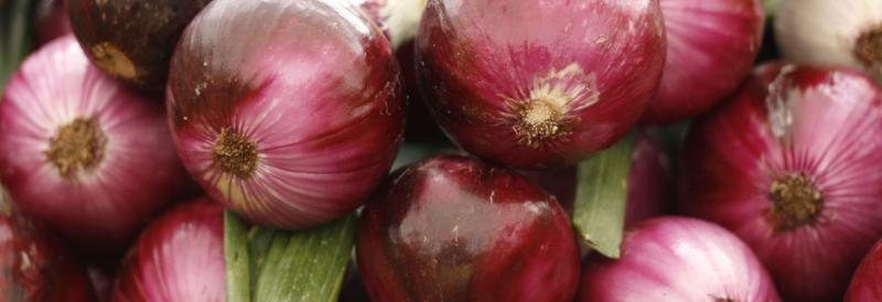 Red onions